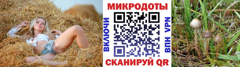 KRAKEN зеркало  Ижевск  Галлюциногенные грибы MAGIC MUSHROOMS 